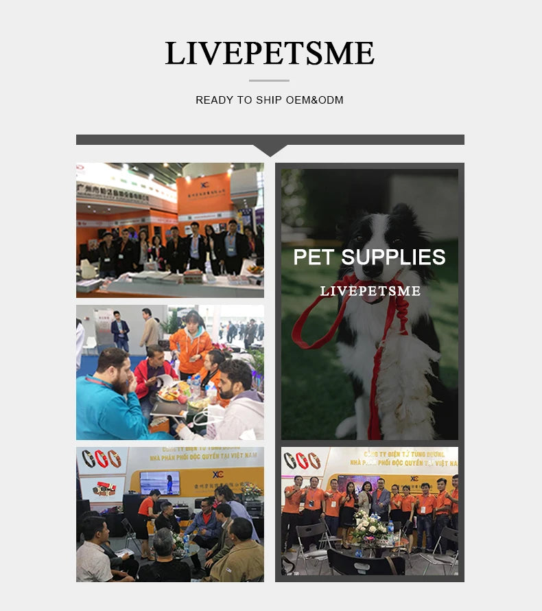 Golden Dog Leash with Collar Suit, Cuban Link Chain, Stainless Steel Pet Dog Safety Leash with PU Leather Handle, 18K Gold